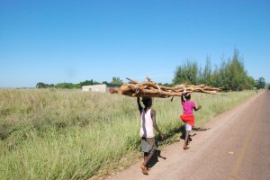 Log carriers