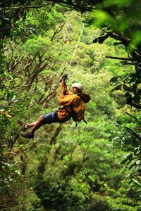 Zip wire through the jungle